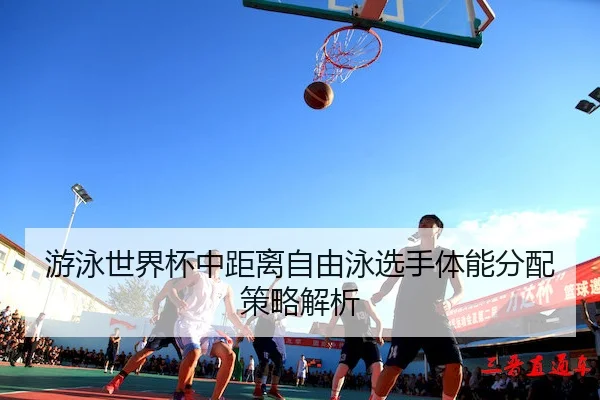 you-yong-shi-jie-bei-zhong-ju-li-zi-you-yong-xuan-shou-ti-neng-fen-pei-ce-lve-jie-xi-2-975.jpg